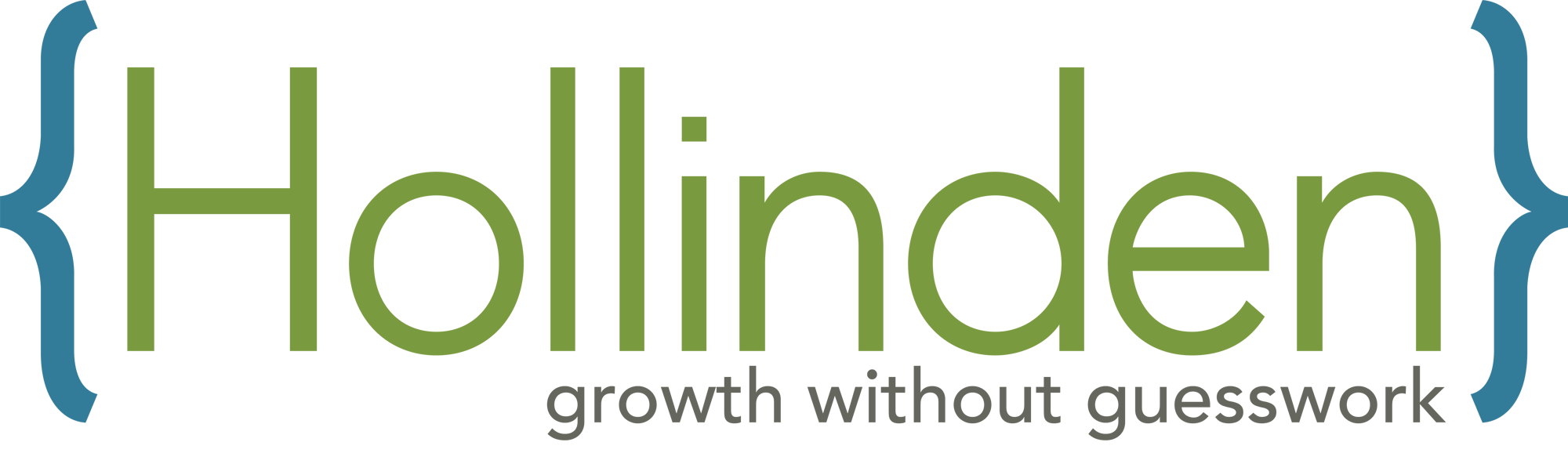 Hollinden Logo_Growth without guesswork_color Hollinden Logo_Growth without guesswork_color